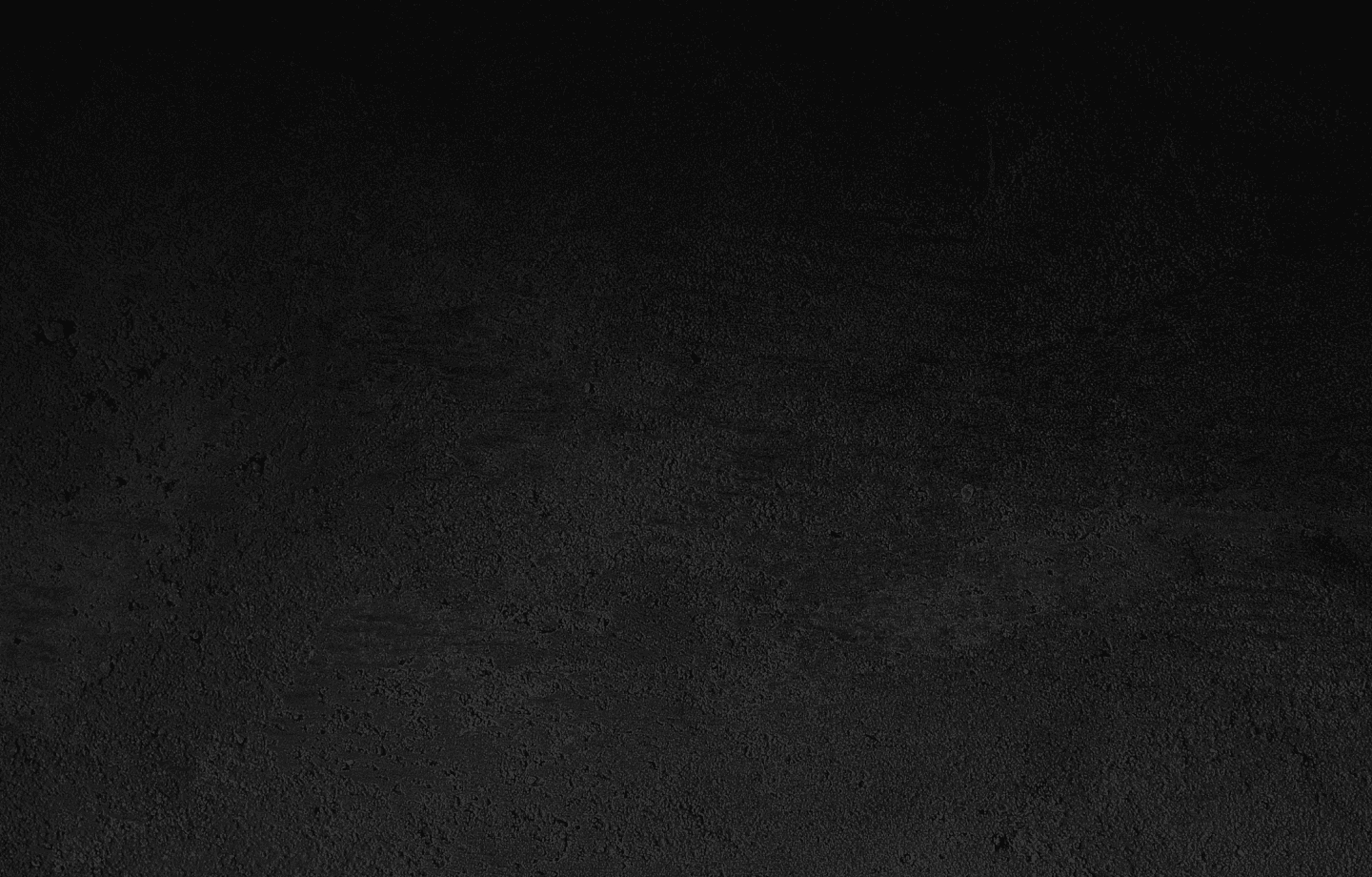 Background image for Rydepro Services section